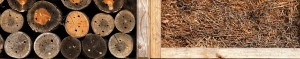 Insect-Hotel